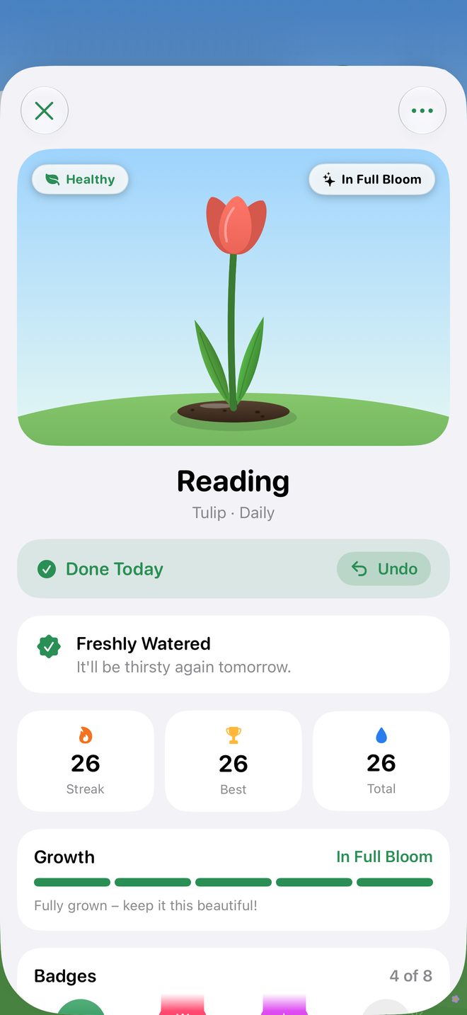 Screenshot of the Knubbi app